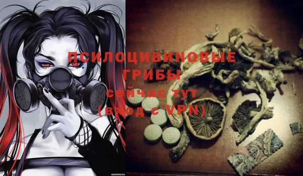 героин Пересвет