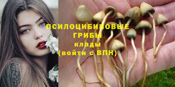стафф Абдулино